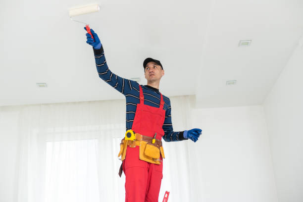 Best Basement Mold Removal  in Dunnstown, PA