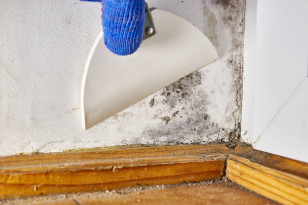 Best Mold Removal for HVAC Installations  in Dunnstown, PA