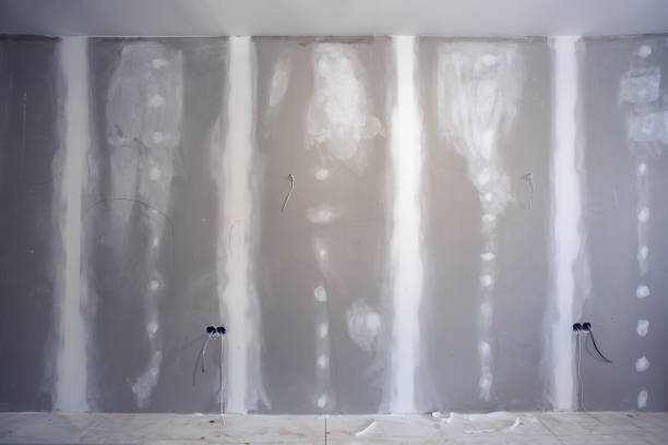 Best Mold-Related Health Consultation  in Dunnstown, PA